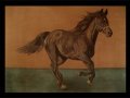Horse___by_Dina_n1.jpg